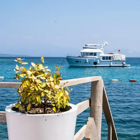达利安套房酒店 公寓式酒店 Çeşme